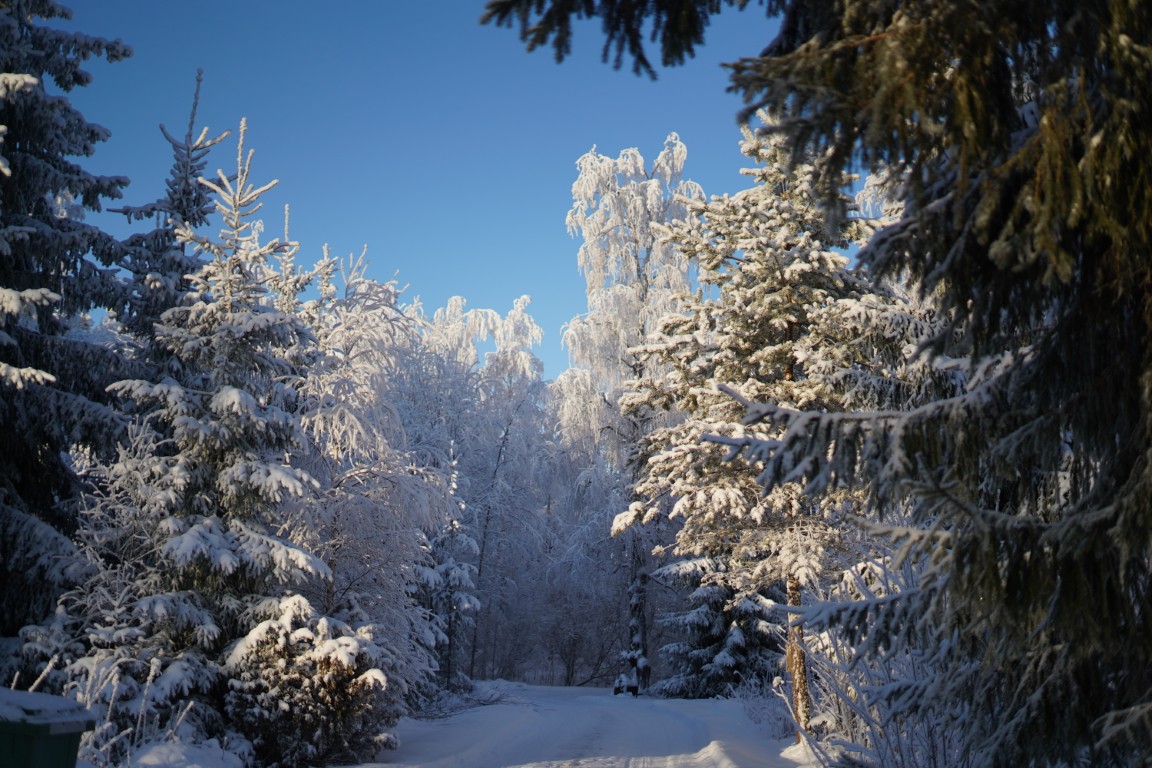 Winter